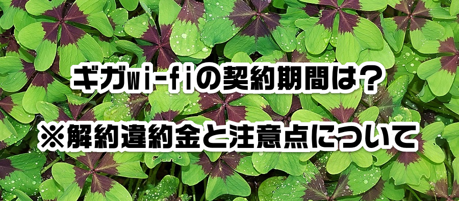 MKwi-fǐ_Ԃ́Hƒӓ_ɂ