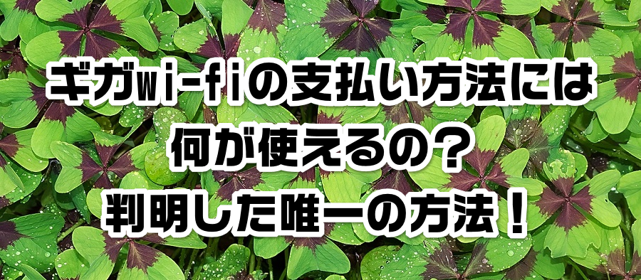 MKwi-fi̎x@ɂ͉ǵHB̕@I